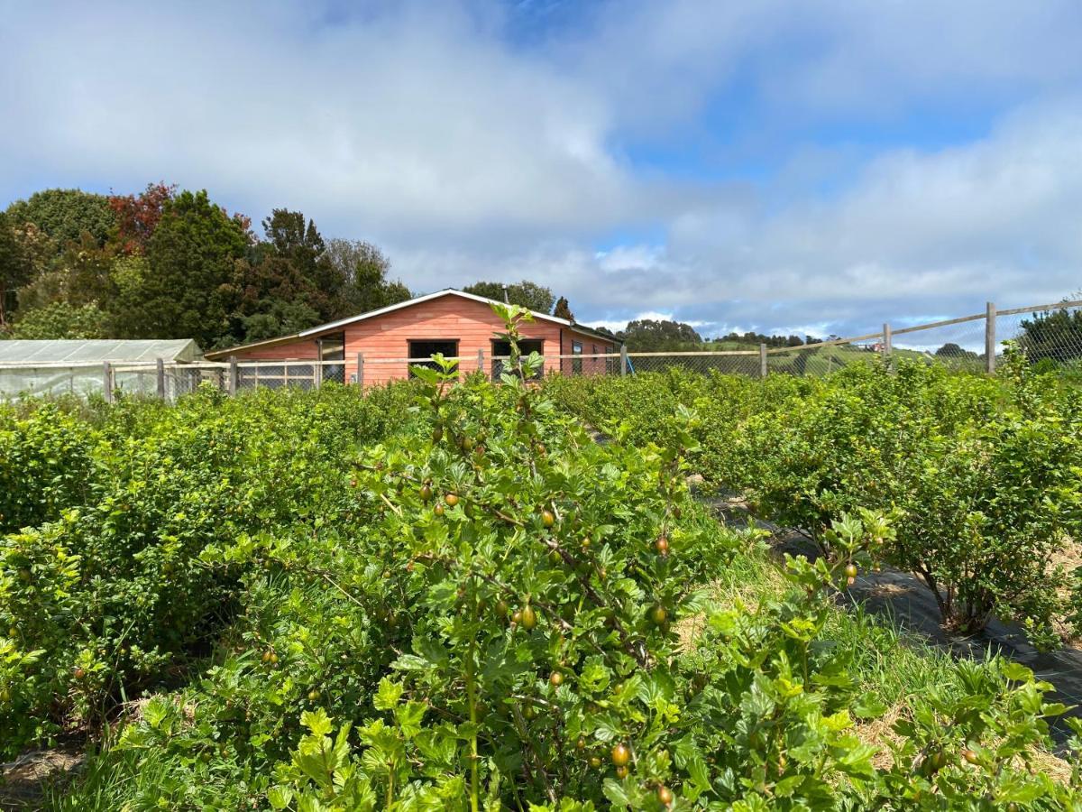 Cabana Nueva En Ancud Chiloe Экстерьер фото