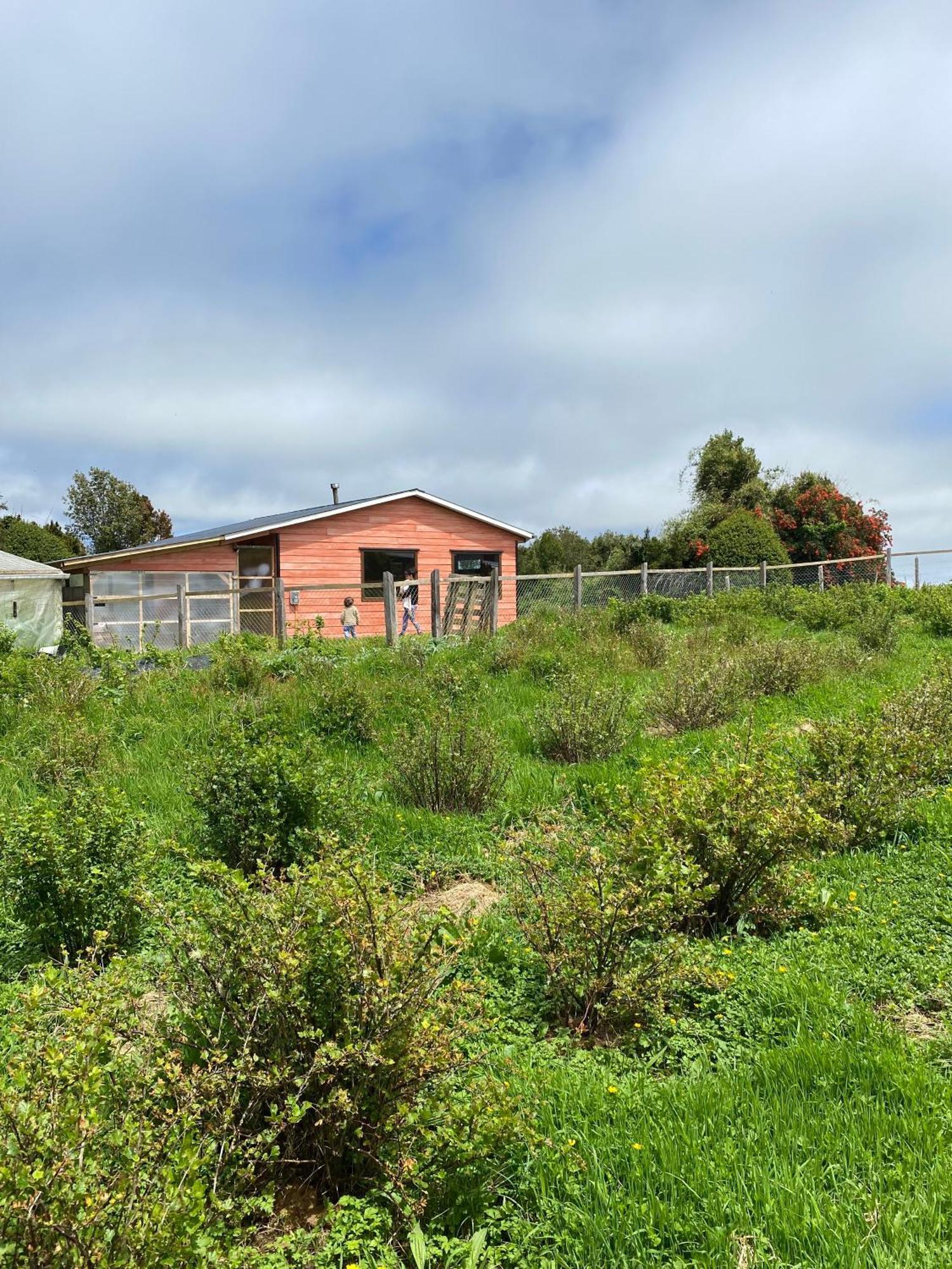 Cabana Nueva En Ancud Chiloe Номер фото