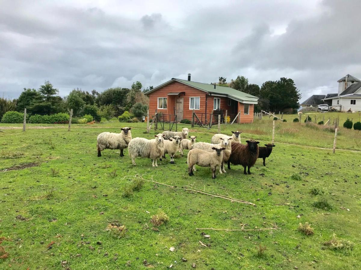 Cabana Nueva En Ancud Chiloe Экстерьер фото